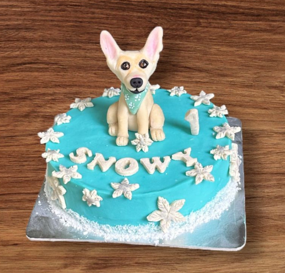 Round Cake with Dog Topper - 850grams