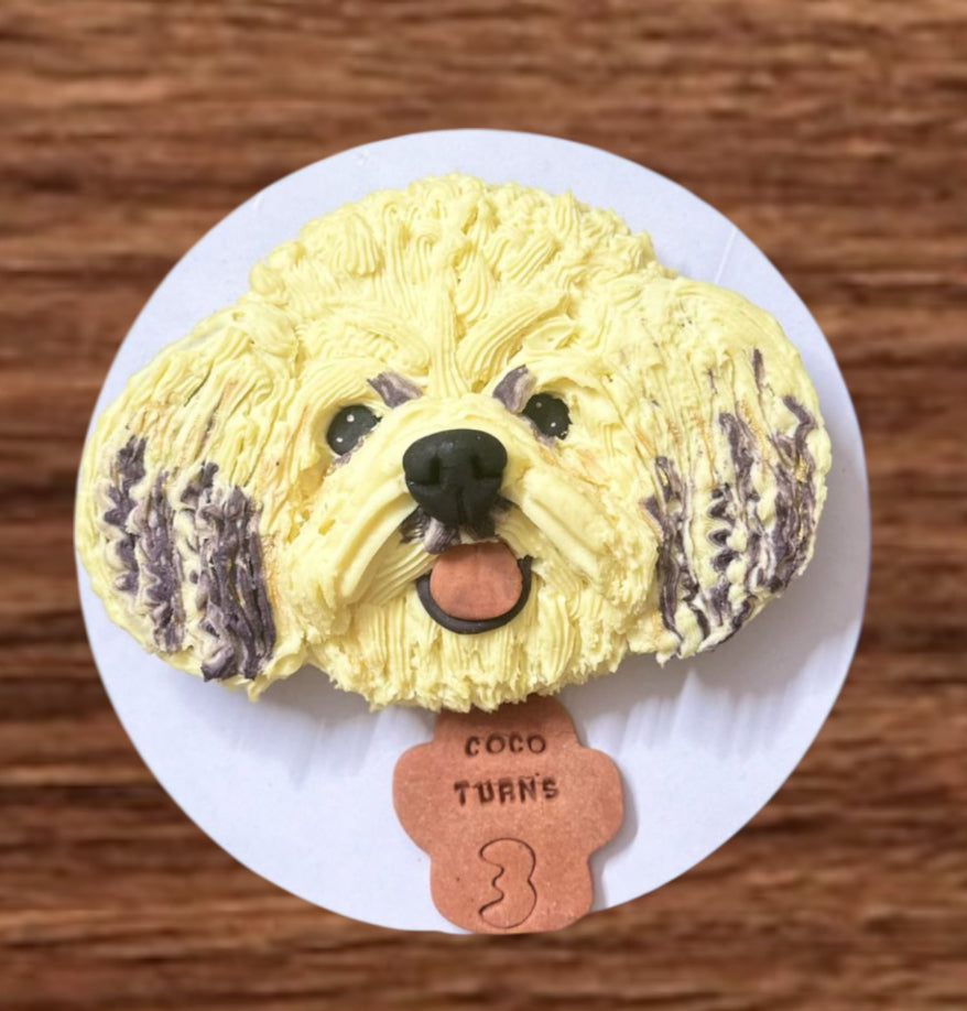 Piped Face Cake - 850grams