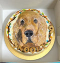 Portrait Hand Painted Face Cake - 650grams